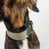 Buddys Dogwear James Green // Bredt og let halsbånd (grøn) - XL - XL