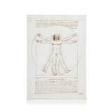 Leonardo Da Vinci - Vitruvian Man Lærred (50x70 cm - Egeramme) - Illustrationer