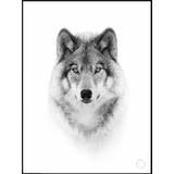 Plakat - The Wolf - Minida - 100 x 140 cm