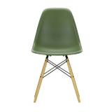 Eames DSW Stol - Golden maple/Forest RE