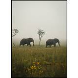 Elephant Walk Plakat (21x29.7 cm (A4))
