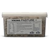 VIKING Pasture Plus 4 kg