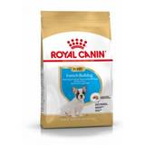 Royal Canin Puppy Fransk Bulldog hundefoder 3 kg