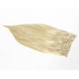 Clip on extensions - lys askblond #60
