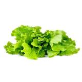 Click & Grow Smart Garden refill Lettuce 3pcs - [Levering: 6-14 dage]