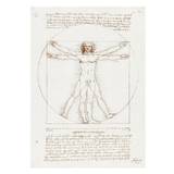Leonardo Da Vinci - Vitruvian Man Plakat (30x40 cm) - Berømte kunstnere