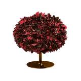 Moroso - Bouquet Chair, B001,Red/Cyclamen/Maroon