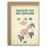 BECAUSE YOU ARE AWESOME - Kort fra Message...