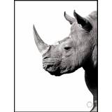 Plakat -Rhino - Minida - 30 x 40 cm