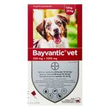 Bayvantic Vet. Til Hunde 10-25 Kg - Bayvantic - 500 + 100 mg/ml - Veterinær lægemiddel