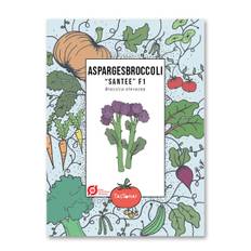 Aspargesbroccoli – Santee F1 – Økologiske frø