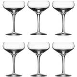 Orrefors More Coupe Champagneglas 21 Cl 6-pak - Champagneglas Krystalglas Klar - 6310128
