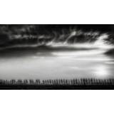 Clouds Dancing With The Trees Poster 50x70 cm