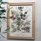 Chic Antique Picture with Berries Motif and Nature Frame
