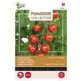 Pomodori Coll. Cherrytomat / kirsebærtomat Gardener's Delight, frø