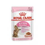 Royal Canin Kitten Sterilised Gravy vådfoder - 12 x 85 g.
