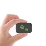 Lanxri Mini 3g Gps Tracker Hund Kat Pet Gps Locator Realtid Tracking