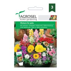 Blomsterfrø-blanding til plantekasser, Agrosel