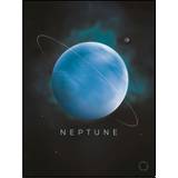 Plakat - Neptune - Minida - 70 x 100 cm