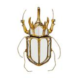 Kare Design Beetle vægdekoration
