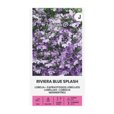 Lobelia 'Riviera Blue Splash', blomsterfrø