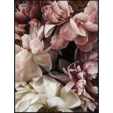 Plakat - Dusty Roses #2 - Minida - 50 x 70 cm