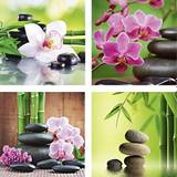 4 Wellnessbilleder med orkidéer, bambus og sten 20 x 20 cm