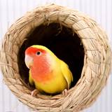 SHEIN 1pc Handmade Straw Woven Country Style Nesting Basket For Small Animals, Suitable For Four Seasons Animal Home And Habitat Including Tiger Skin Parrot