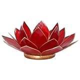 Lotus Lysestage - 1 chakra - rød guld