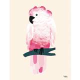 Michelle Carlslund - Plakat - 50 x 70 cm - Pink Kakadue