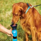 Drikkedunk til hunde • Sammenlign PriceRunner »