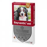 Bayvantic Hund 40-60 kg -