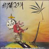 Ambrosia Road Island 1982 UK vinyl LP K56968