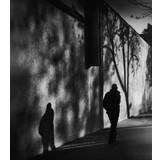 Shadows On Montana Avenue Poster 50x70 cm