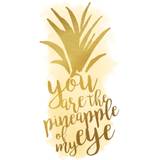 RoomMates Wallstickers, You are the Pineapple