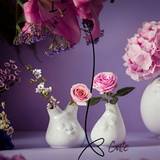 Lille vase "Cute" H: 10 cm. TAS019501