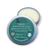 Goats of the Gorge Natural Lip balm - Mint