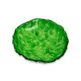 Grøn dyb glas tallerken/skål - Wakame, 2 stk.