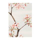 Megata Morikaga - Sakura Cherry Plakat (50x70 cm) - Berømte kunstnere