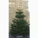 Juletræ deluxe 175-200 cm