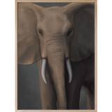 Kunskapstavlan® Forest Elephant Plakat 50x70 Cm - Plakater Papir - 8490