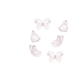 That`s Mine, White Butterflies, wallstickers