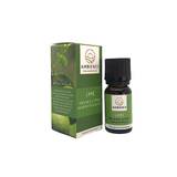 Lime oil æterisk - 10 ml - Ambience