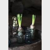 Hyacintvase i pebbled glas