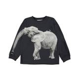 Molo t-shirt l/s, Rube, elephant - 116,6år