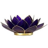 Lotus Lysestage - 7 chakra - violet guld