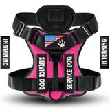 SHEIN 1pc Shockproof Reflective Pet Chest & Back Strap, Dog Vest Style With Night Vision Function
