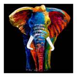Lærredstryk - Elephant - Str: 70 x 70 Cm