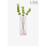 LSA International Pearl Lantern Vase H385cm