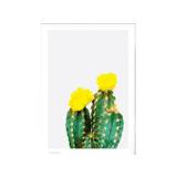 Poster&Frame Plakat Opuntia Cactus - B 15 x L 21 cm - Papir - Grøn/Gul